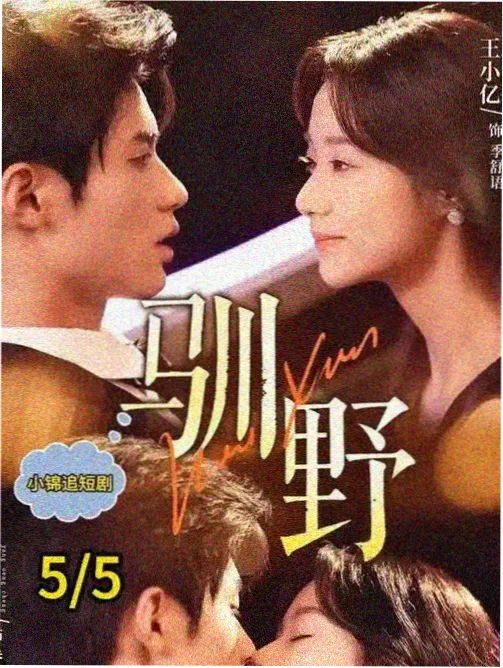 双视角叙事解析配图